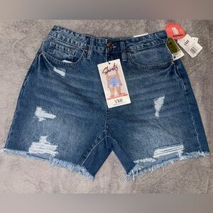 Blue Jean Denim Shorts